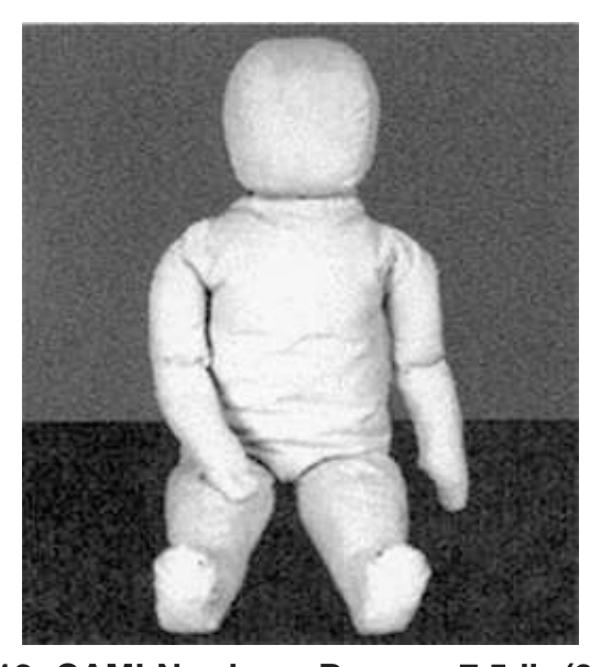 标准 FIG.12 CAMI 新生儿假人 7.5 lb